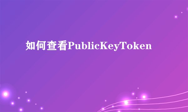 如何查看PublicKeyToken