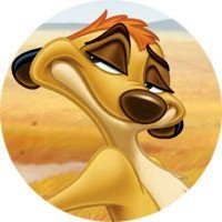 <狮子王>的剧情简介!