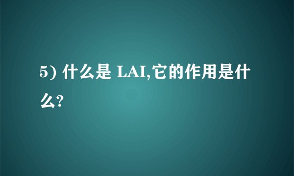 5) 什么是 LAI,它的作用是什么?