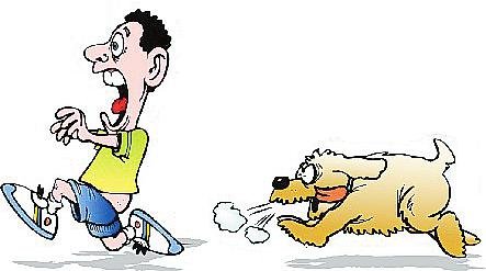 安阳“狗咬人”事件，小事为何被拖大？