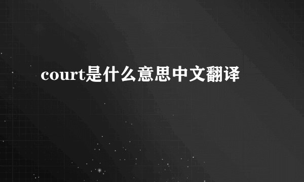 court是什么意思中文翻译