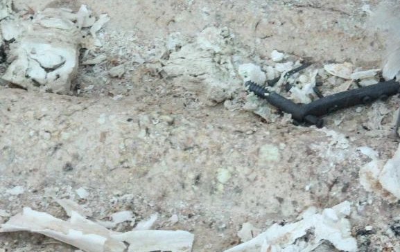 骨灰怎么处理的？