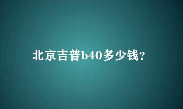 北京吉普b40多少钱？