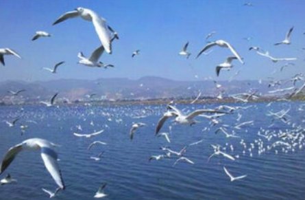 昆明在哪个省市