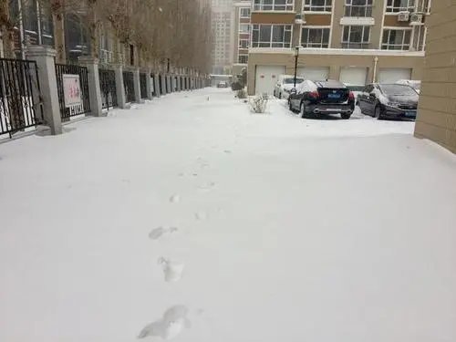 内蒙通辽市民晨起发现一层楼不见了，此次的降雪量到底有多大？