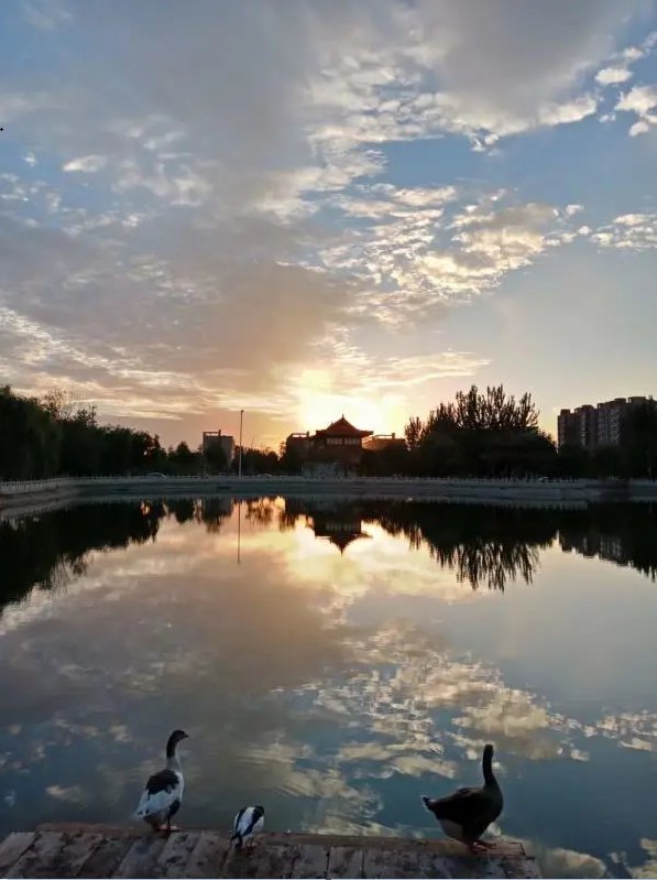 沧州师范学院评价