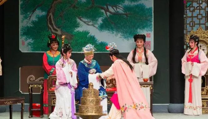 《天上掉下个林妹妹》是什么剧种?