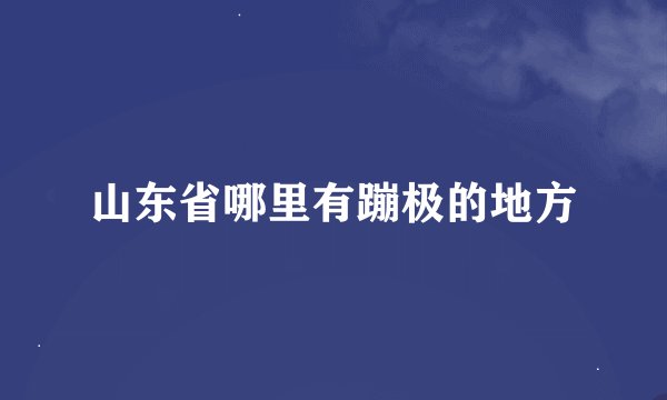 山东省哪里有蹦极的地方