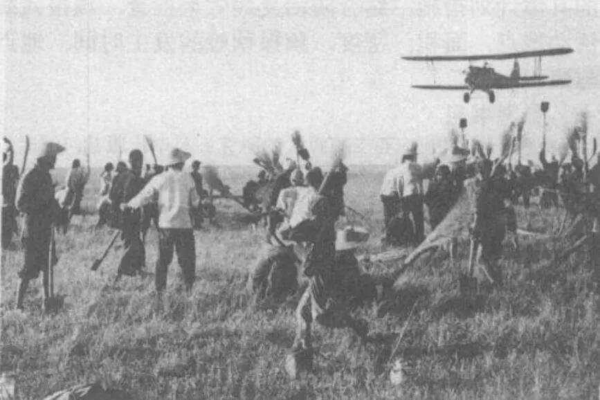 多国禁止粮食出口，为何许多产粮大国，在历史上却屡屡闹饥荒？