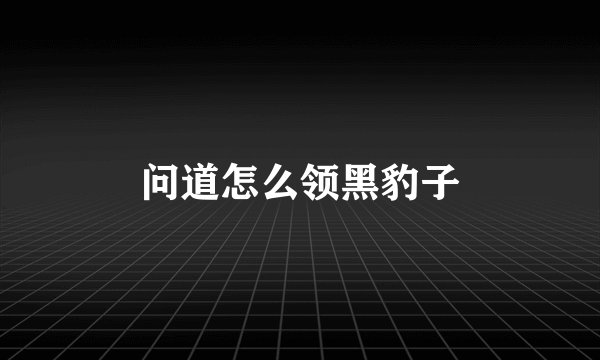 问道怎么领黑豹子