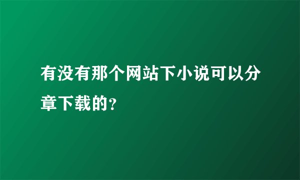 有没有那个网站下小说可以分章下载的？