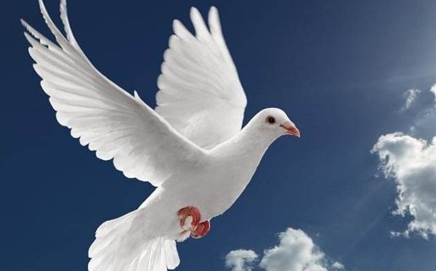 初中生日记300字