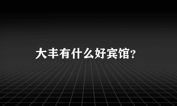 大丰有什么好宾馆？