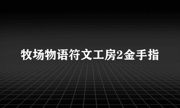 牧场物语符文工房2金手指