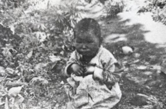 多国禁止粮食出口，为何许多产粮大国，在历史上却屡屡闹饥荒？