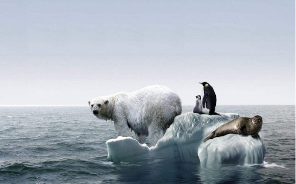 关于北极熊和企鹅的笑话