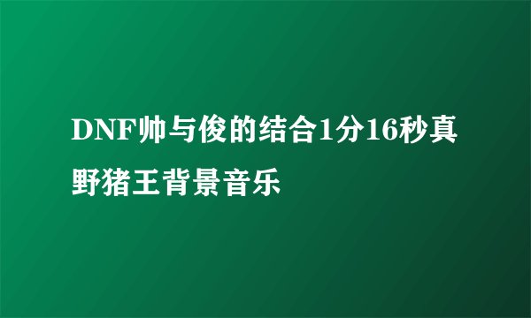 DNF帅与俊的结合1分16秒真野猪王背景音乐