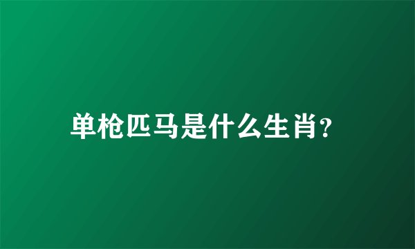 单枪匹马是什么生肖？