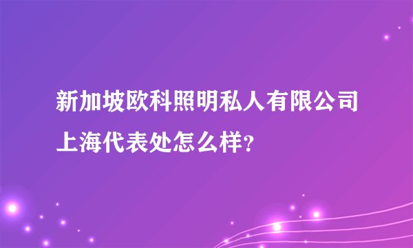 新加坡欧科照明私人有限公司上海代表处怎么样？