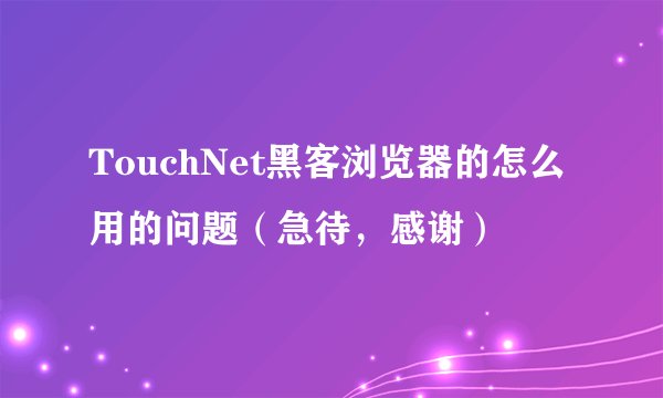 TouchNet黑客浏览器的怎么用的问题（急待，感谢）
