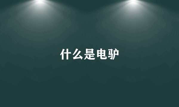 什么是电驴