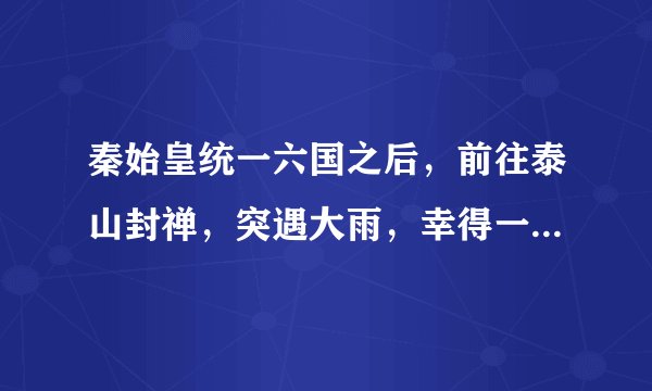 秦始皇统一六国之后，前往泰山封禅，突遇大雨，幸得一株大松树遮蔽而免落汤之灾。秦始皇封它为几大夫？