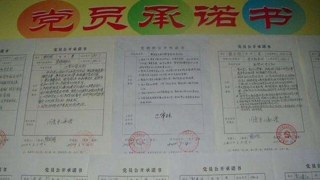 党员承诺书的支部意见如何写