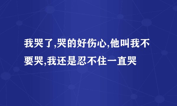 我哭了,哭的好伤心,他叫我不要哭,我还是忍不住一直哭