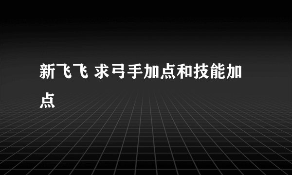 新飞飞 求弓手加点和技能加点