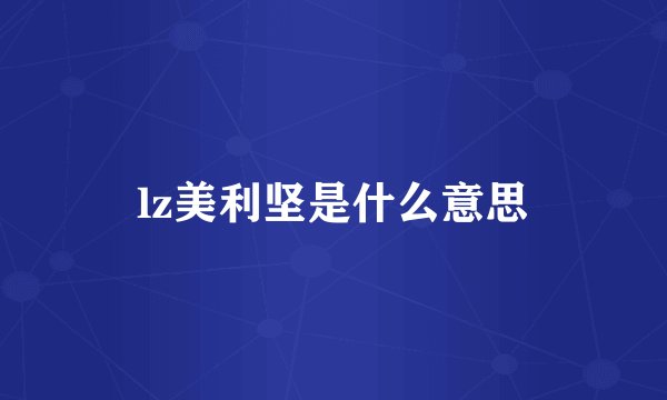 lz美利坚是什么意思