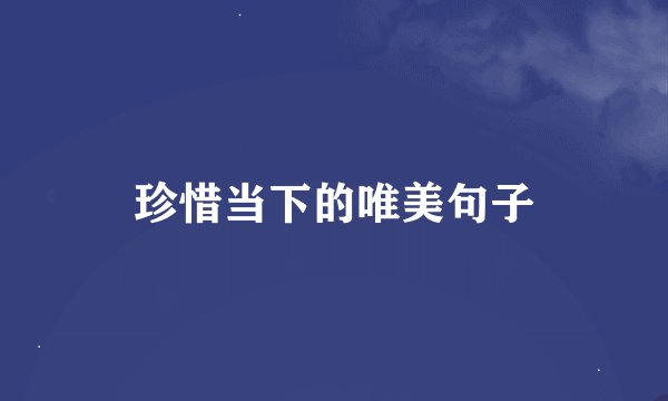 珍惜当下的唯美句子