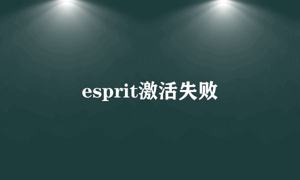 esprit激活失败