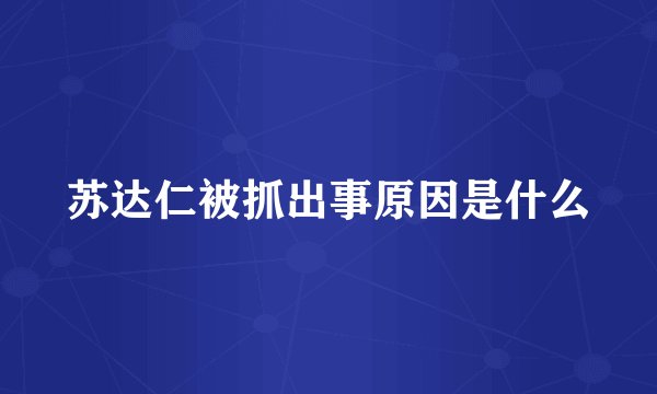 苏达仁被抓出事原因是什么