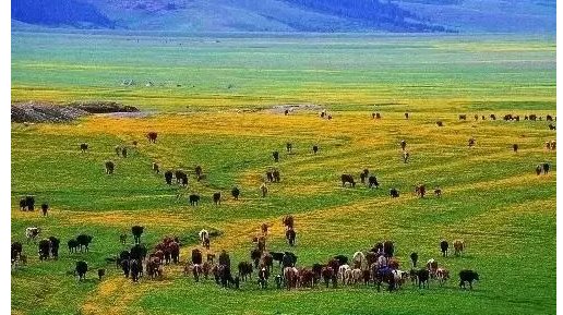 地大物博是什么意思