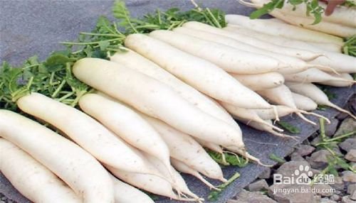 白萝卜和什么食物一起吃效果最好？