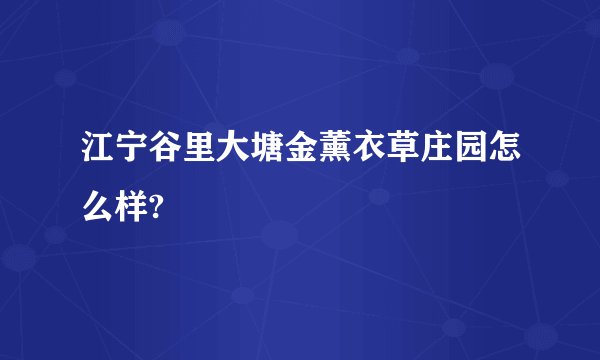 江宁谷里大塘金薰衣草庄园怎么样?