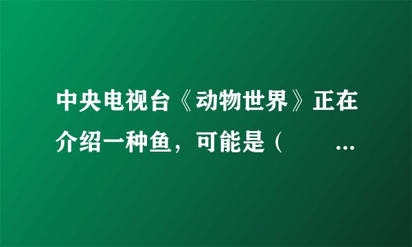 中央电视台《动物世界》正在介绍一种鱼，可能是（　　）A．鲸鱼B．鱿鱼C．海马D．娃娃