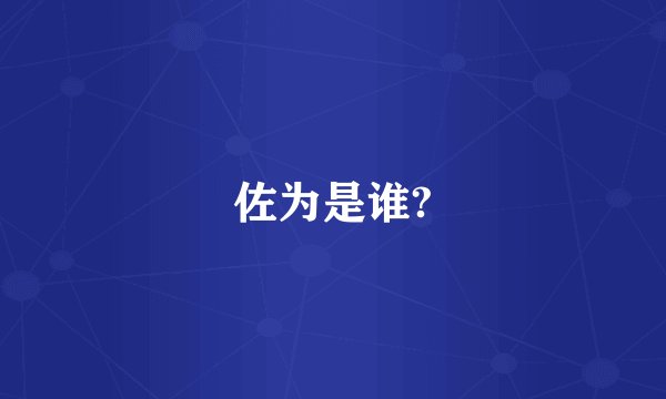 佐为是谁?