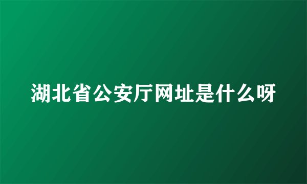 湖北省公安厅网址是什么呀