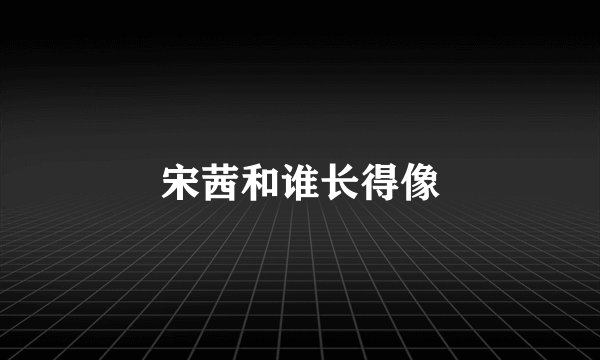 宋茜和谁长得像