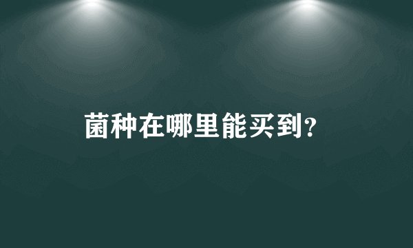 菌种在哪里能买到？