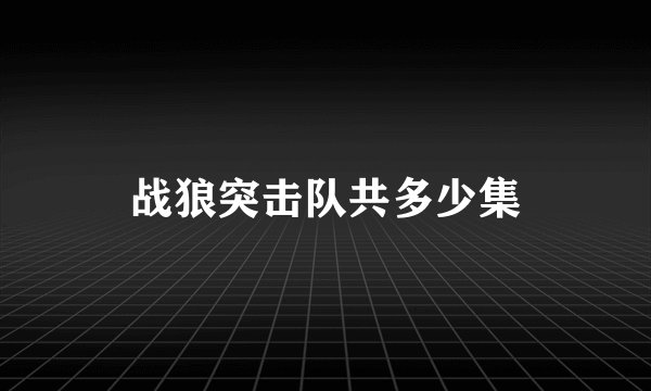 战狼突击队共多少集