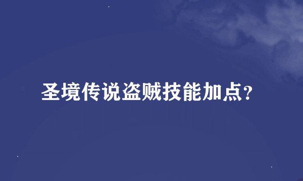 圣境传说盗贼技能加点？