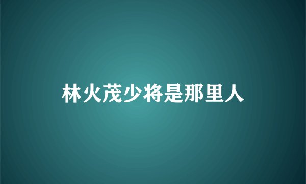 林火茂少将是那里人