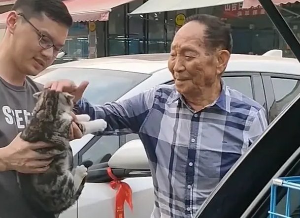 袁隆平爷爷的小猫“袁花花”找回来了,一只小猫为何牵动网友的心?