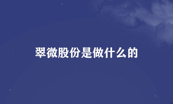 翠微股份是做什么的