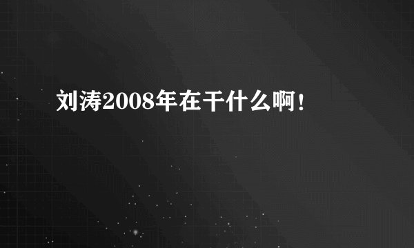 刘涛2008年在干什么啊!