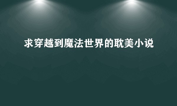 求穿越到魔法世界的耽美小说