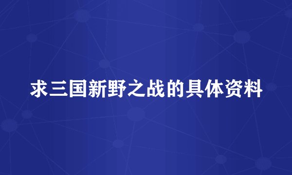 求三国新野之战的具体资料
