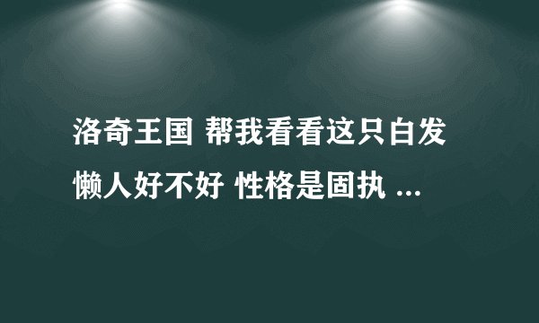 洛奇王国 帮我看看这只白发懒人好不好 性格是固执 天赋是精力22 攻击24 防御20 魔攻1 魔抗 4 速度12